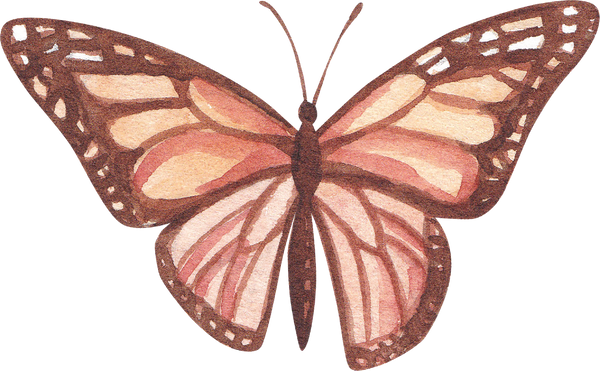 Illustration Watercolor Orange Butterfly